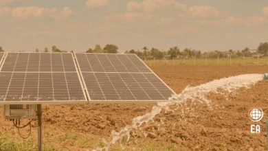 Bakan Nebati: Tarımsal Güneş Enerji Sistemleri için Yüzde 100 Kredi Faiz Desteği Sağlandı