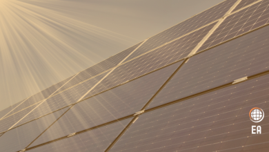 Güneş Enerjisi Kurulu Gücünün 2028'de 300.000 MW'a Ulaşması Tahmin Ediliyor