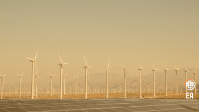 Küresel Elektrik Üretiminde Rüzgar ve Güneşin Payı Yüzde 14,3 ile Rekor Seviyeye Ulaştı