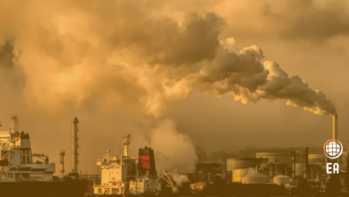 EPDK Karbon Piyasalarının İşletilmesine İlişkin Yönetmelik Taslağını Hazırladı