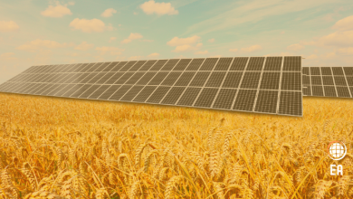 Kırsal Kalkınma Yatırımlarında Yenilenebilir Enerji Desteği Sağlanacak