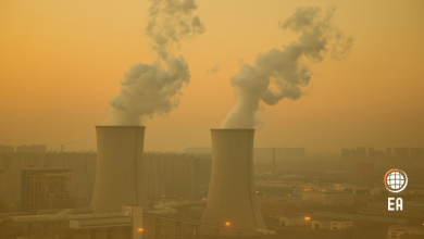 AB'den 10 Ülke Fosil Yakıtları Elektrik Üretiminden Çıkarıyor