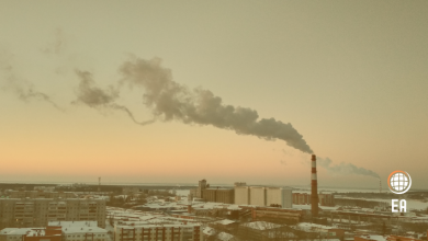 Emisyon Ticaret Sistemi Nedir: İklim Değişikliğiyle Mücadeledeki Rolü