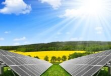 Türkiye'nin Yeşil Bölgeleri Nasıl Enerji Sektörünün Lideri Oluyor?