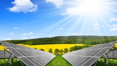 Türkiye'nin Yeşil Bölgeleri Nasıl Enerji Sektörünün Lideri Oluyor?